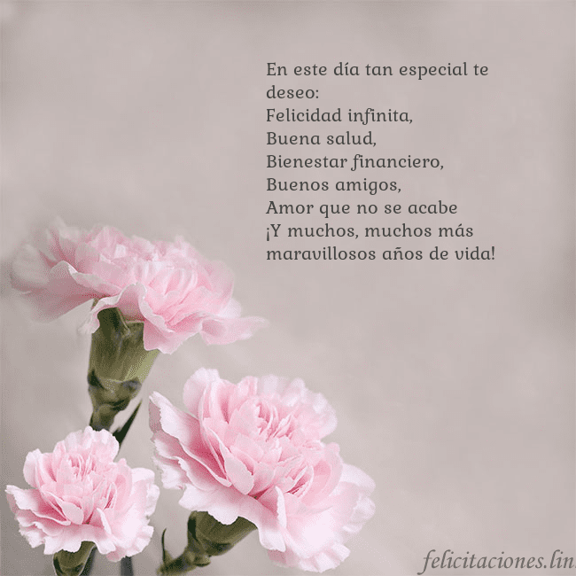 Tarjeta de cumpleaños con claveles rosas En este día tan especial te deseo:
Felicidad infin Tarjeta de cumpleaños con claveles rosas