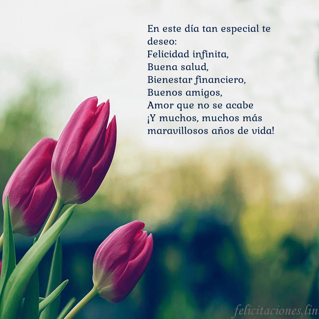 Tarjeta de cumpleaños con tres tulipanes rojos