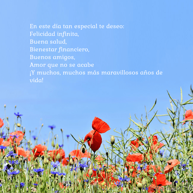 Gimtadienio atvirukas su aguonomis