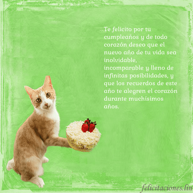 Tarjeta de cumpleaños con gato y pastel de cumpleaños Te felicito por tu cumpleaños y de todo corazón de Tarjeta de cumpleaños con gato y pastel de cumpleaños