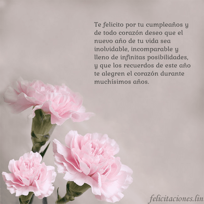 Tarjeta de cumpleaños con claveles rosas Te felicito por tu cumpleaños y de todo corazón de Tarjeta de cumpleaños con claveles rosas