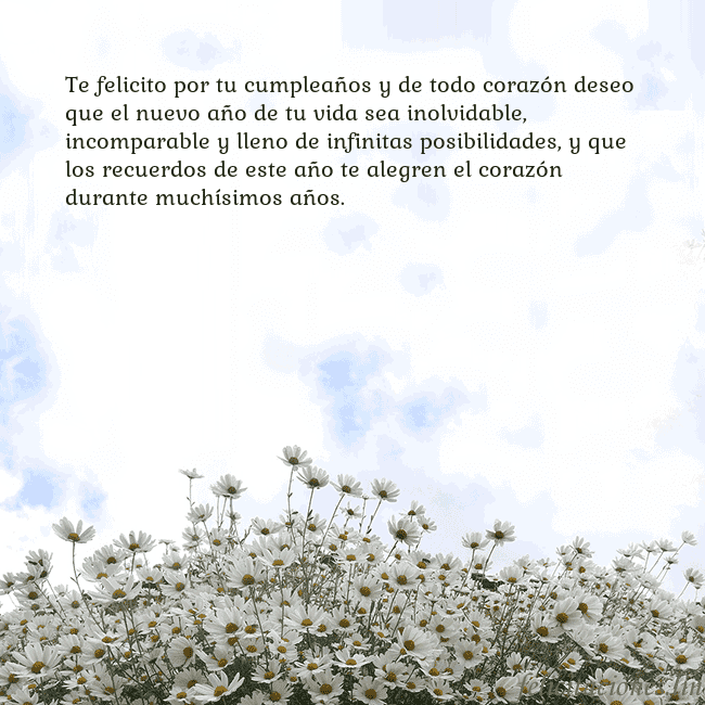 Tarjeta de cumpleaños con margaritas