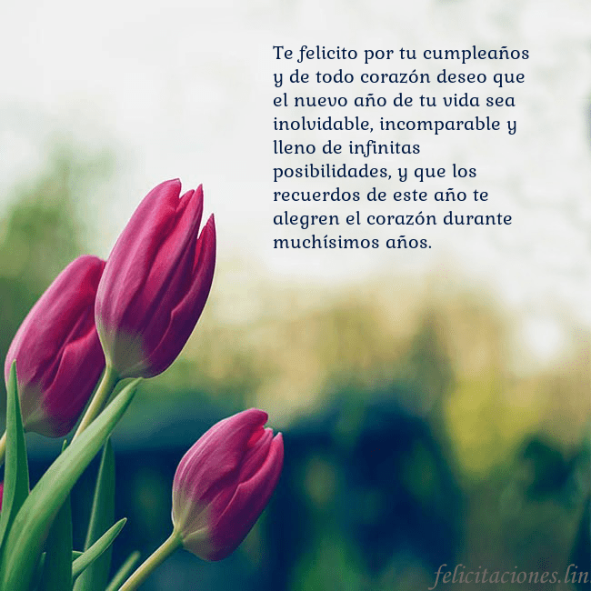 Tarjeta de cumpleaños con tres tulipanes rojos