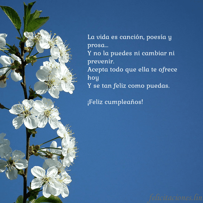 Tarjeta de cumpleaños con flores de primavera La vida es canción, poesía y prosa...
Y no la pued Tarjeta de cumpleaños con flores de primavera