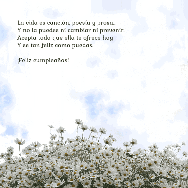 Tarjeta de cumpleaños con margaritas La vida es canción, poesía y prosa...
Y no la pued Tarjeta de cumpleaños con margaritas