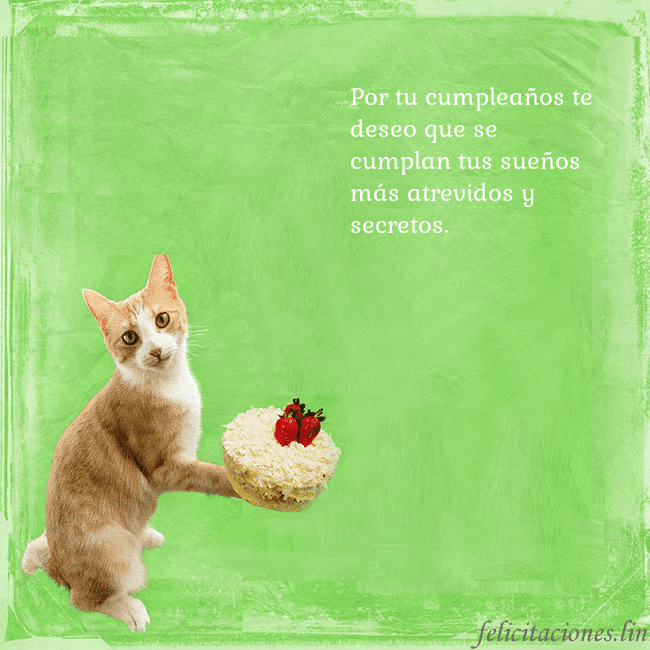 Tarjeta de cumpleaños con gato y pastel de cumpleaños