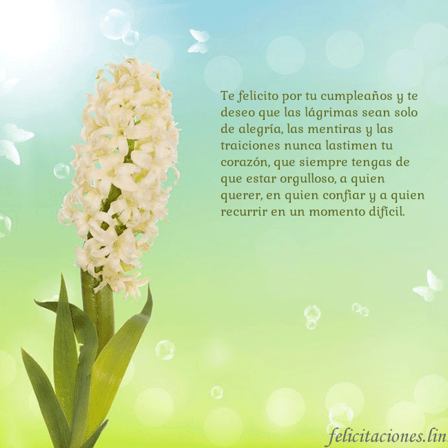 Tarjeta con jacinto Te felicito por tu cumpleaños y te deseo que las l Tarjeta con jacinto
