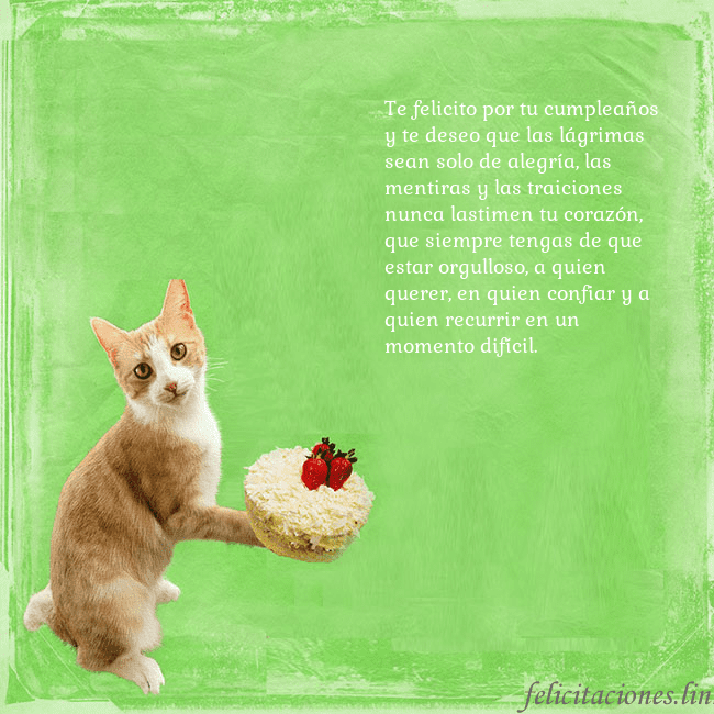 Tarjeta de cumpleaños con gato y pastel de cumpleaños Te felicito por tu cumpleaños y te deseo que las l Tarjeta de cumpleaños con gato y pastel de cumpleaños