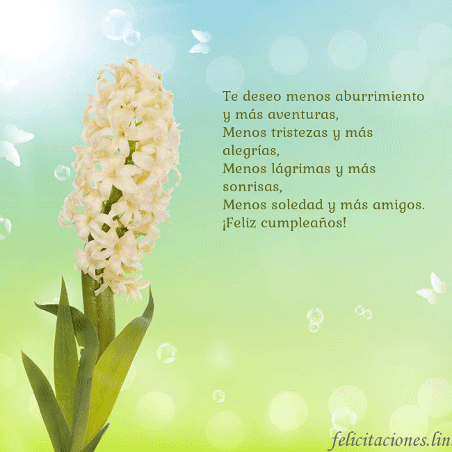 Tarjeta con jacinto Te deseo menos aburrimiento y más aventuras,
Menos Tarjeta con jacinto
