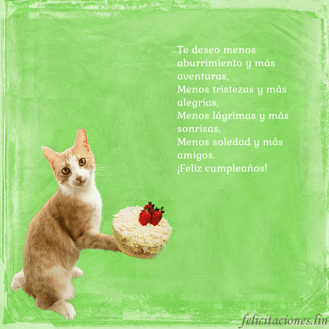 Tarjeta de cumpleaños con gato y pastel de cumpleaños Te deseo menos aburrimiento y más aventuras,
Menos Tarjeta de cumpleaños con gato y pastel de cumpleaños