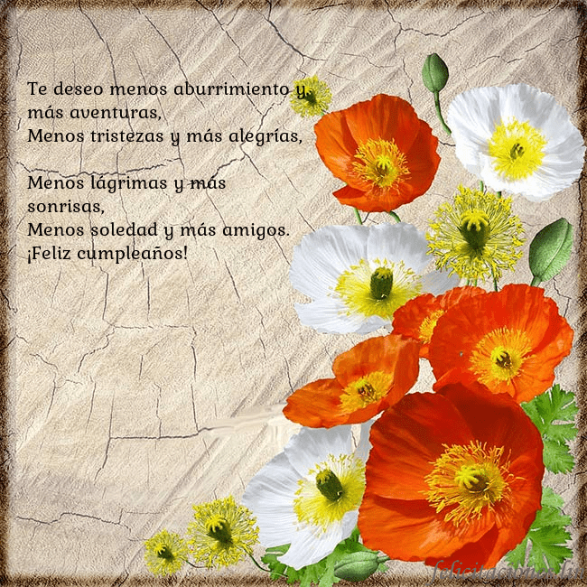 Tarjeta de cumpleaños con amapolas Te deseo menos aburrimiento y más aventuras,
Menos Tarjeta de cumpleaños con amapolas