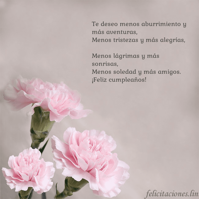 Tarjeta de cumpleaños con claveles rosas Te deseo menos aburrimiento y más aventuras,
Menos Tarjeta de cumpleaños con claveles rosas