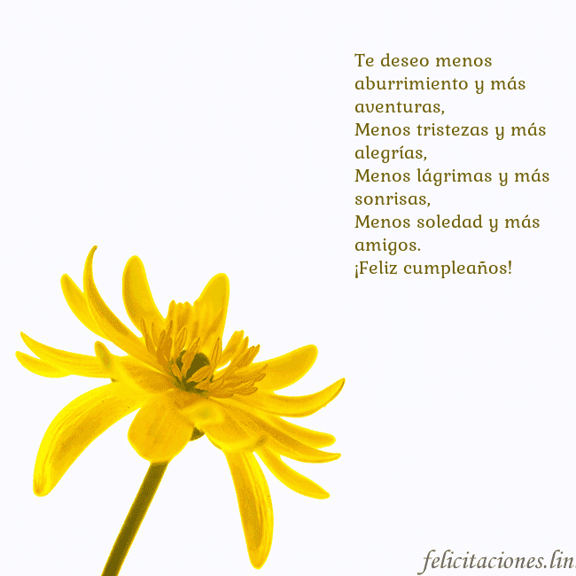 Tarjeta de cumpleaños con flor amarilla Te deseo menos aburrimiento y más aventuras,
Menos Tarjeta de cumpleaños con flor amarilla