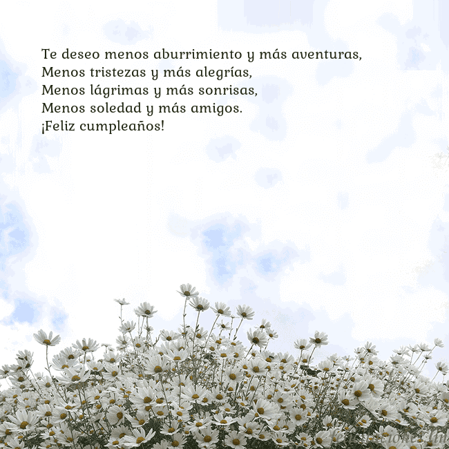 Tarjeta de cumpleaños con margaritas Te deseo menos aburrimiento y más aventuras,
Menos Tarjeta de cumpleaños con margaritas