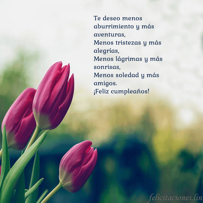Tarjeta de cumpleaños con tres tulipanes rojos Te deseo menos aburrimiento y más aventuras,
Menos Tarjeta de cumpleaños con tres tulipanes rojos