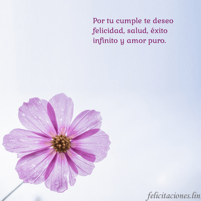 Tarjeta electrónica con flor morada