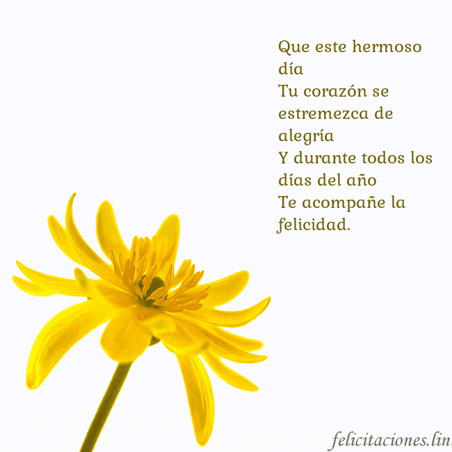 Tarjeta de cumpleaños con flor amarilla Que este hermoso día
Tu corazón se estremezca de Tarjeta de cumpleaños con flor amarilla