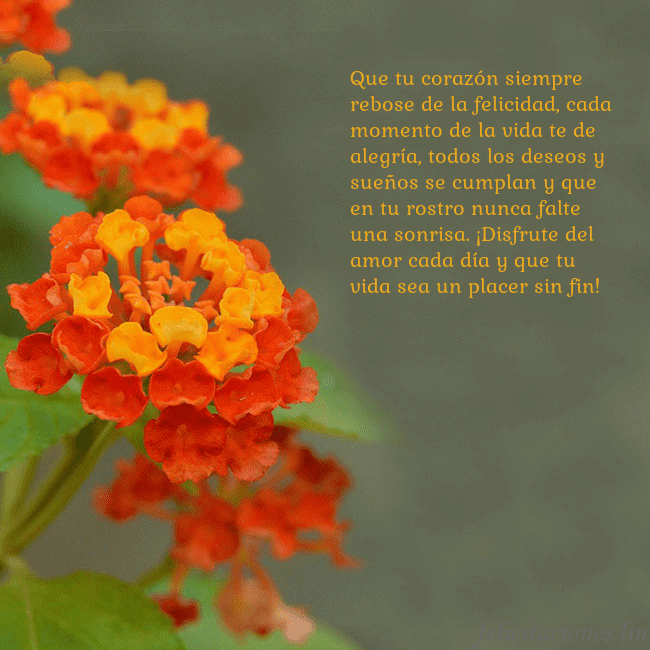 Tarjeta de cumpleaños con flores naranjas Que tu corazón siempre rebose de la felicidad, cad Tarjeta de cumpleaños con flores naranjas