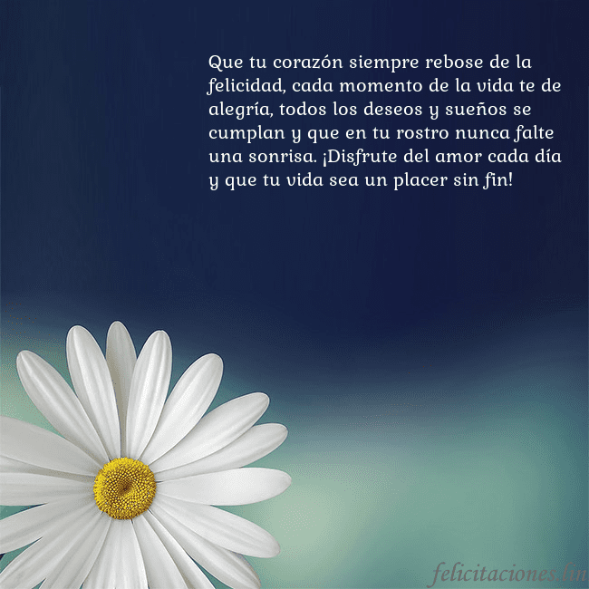 Postal con una gran margarita Que tu corazón siempre rebose de la felicidad, cad Postal con una gran margarita