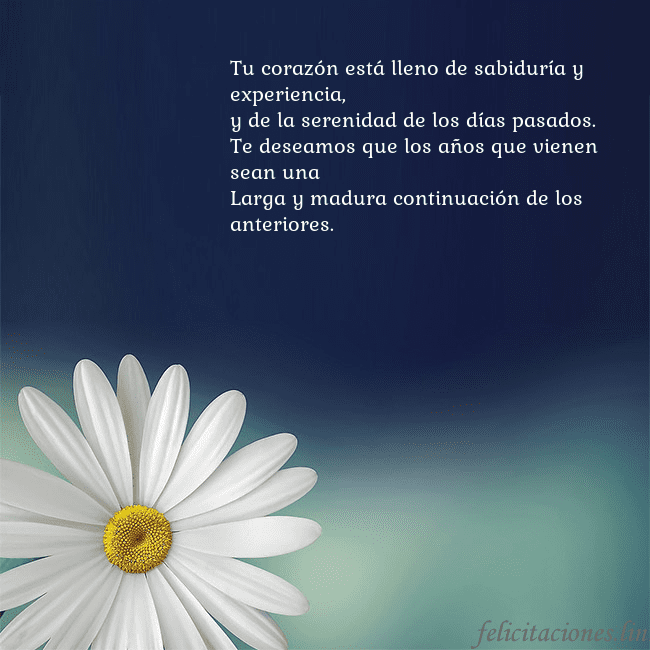 Postal con una gran margarita Tu corazón está lleno de sabiduría y experiencia,
 Postal con una gran margarita