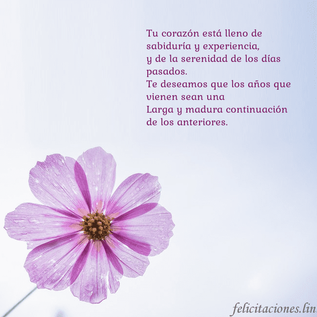 Tarjeta electrónica con flor morada Tu corazón está lleno de sabiduría y experiencia,
 Tarjeta electrónica con flor morada