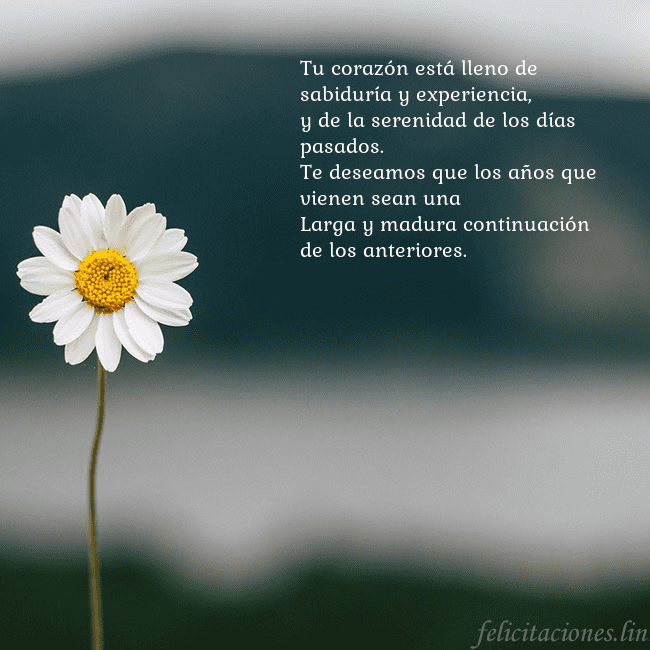 Tarjeta electrónica con margarita Tu corazón está lleno de sabiduría y experiencia,
Tarjeta electrónica con margarita