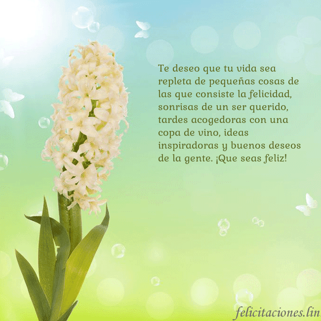 Tarjeta con jacinto Te deseo que tu vida sea repleta de pequeñas cosas Tarjeta con jacinto