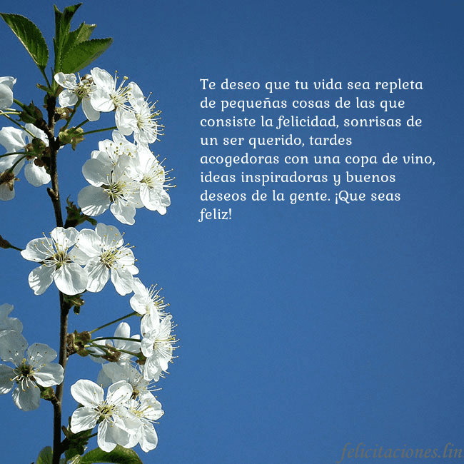 Tarjeta de cumpleaños con flores de primavera Te deseo que tu vida sea repleta de pequeñas cosas Tarjeta de cumpleaños con flores de primavera