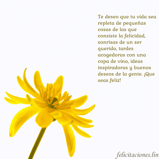 Tarjeta de cumpleaños con flor amarilla Te deseo que tu vida sea repleta de pequeñas cosas Tarjeta de cumpleaños con flor amarilla