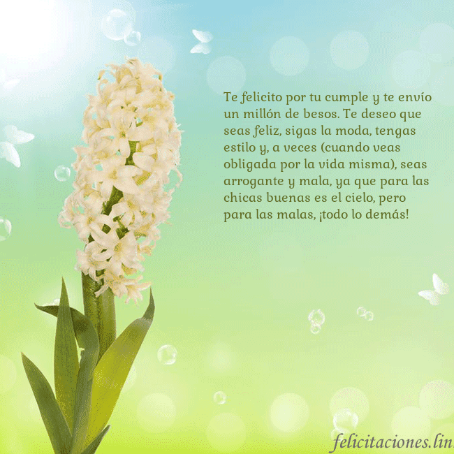 Tarjeta con jacinto Te felicito por tu cumple y te envío un millón de Tarjeta con jacinto