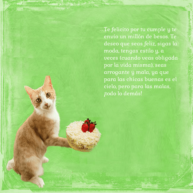Tarjeta de cumpleaños con gato y pastel de cumpleaños Te felicito por tu cumple y te envío un millón de Tarjeta de cumpleaños con gato y pastel de cumpleaños