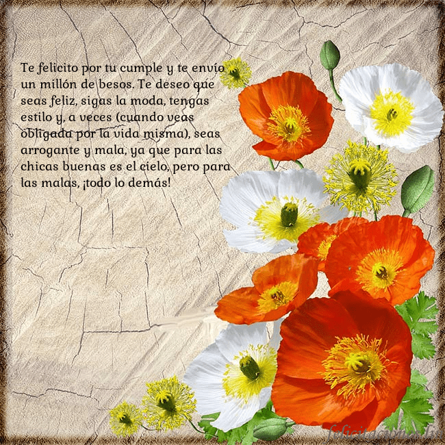 Tarjeta de cumpleaños con amapolas Te felicito por tu cumple y te envío un millón de Tarjeta de cumpleaños con amapolas