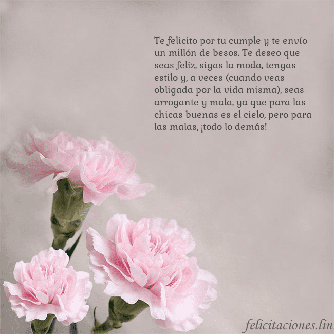 Tarjeta de cumpleaños con claveles rosas Te felicito por tu cumple y te envío un millón de Tarjeta de cumpleaños con claveles rosas