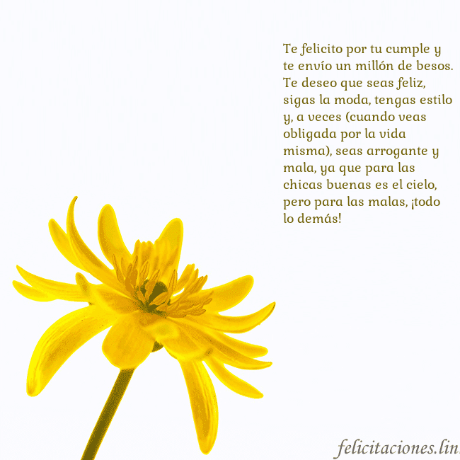 Tarjeta de cumpleaños con flor amarilla Te felicito por tu cumple y te envío un millón de Tarjeta de cumpleaños con flor amarilla