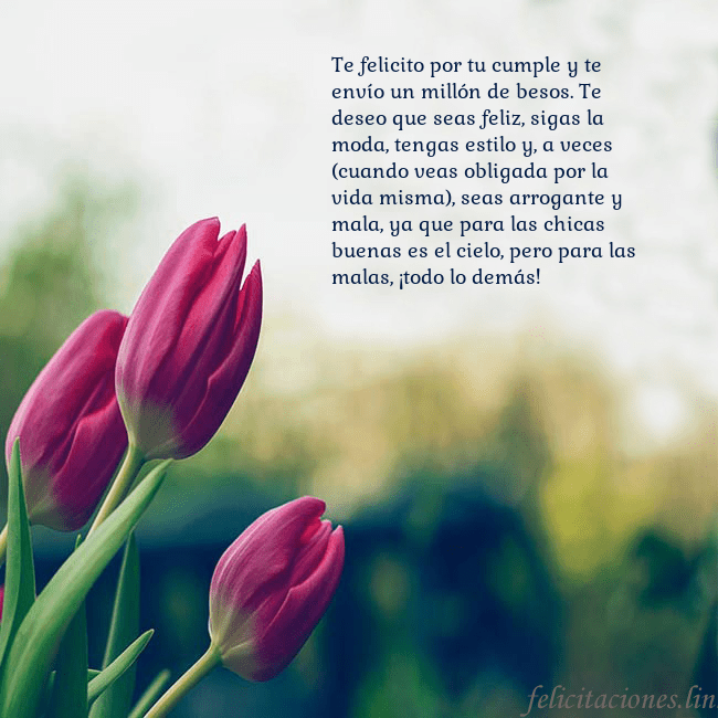 Tarjeta de cumpleaños con tres tulipanes rojos Te felicito por tu cumple y te envío un millón de Tarjeta de cumpleaños con tres tulipanes rojos