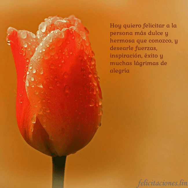 Tarjeta de cumpleaños con tulipán rojo Hoy quiero felicitar a la persona más dulce y herm Tarjeta de cumpleaños con tulipán rojo
