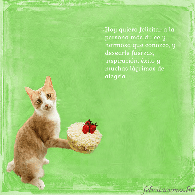 Tarjeta de cumpleaños con gato y pastel de cumpleaños Hoy quiero felicitar a la persona más dulce y herm Tarjeta de cumpleaños con gato y pastel de cumpleaños
