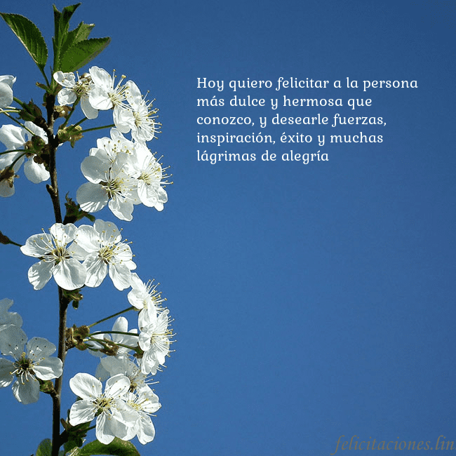 Tarjeta de cumpleaños con flores de primavera Hoy quiero felicitar a la persona más dulce y herm Tarjeta de cumpleaños con flores de primavera