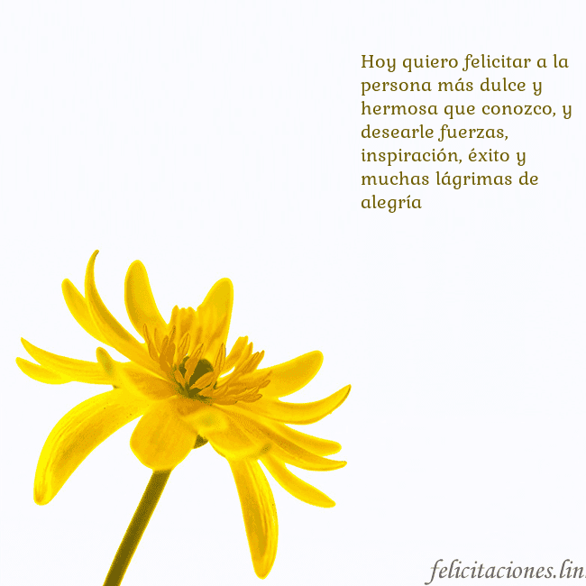 Tarjeta de cumpleaños con flor amarilla Hoy quiero felicitar a la persona más dulce y herm Tarjeta de cumpleaños con flor amarilla