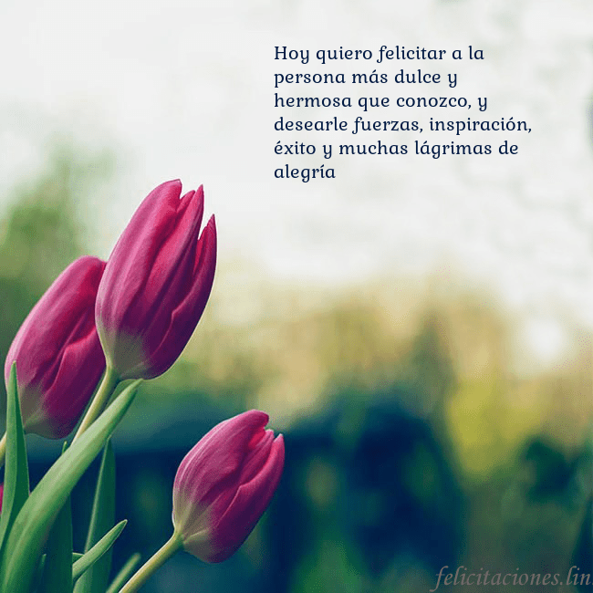 Tarjeta de cumpleaños con tres tulipanes rojos Hoy quiero felicitar a la persona más dulce y herm Tarjeta de cumpleaños con tres tulipanes rojos