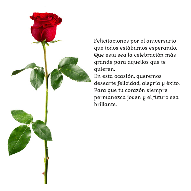 Tarjeta con una rosa roja