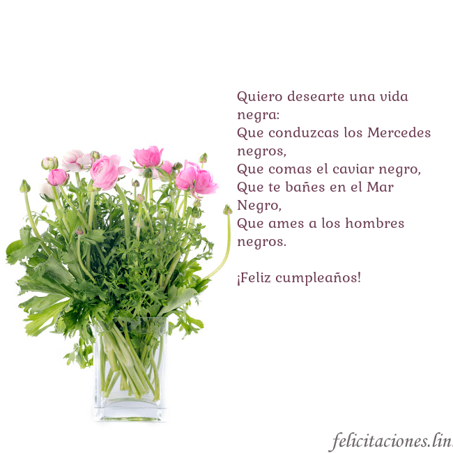 Tarjeta con flores en un jarrón Quiero desearte una vida negra:
Que conduzcas los Tarjeta con flores en un jarrón