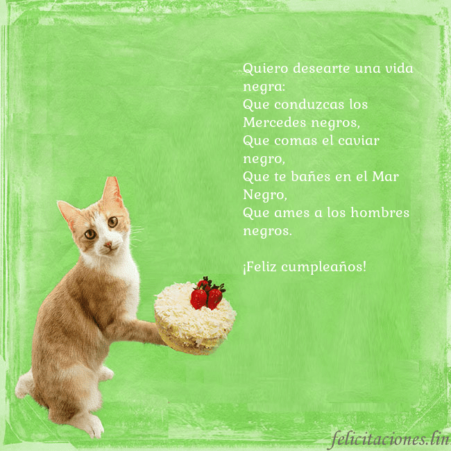 Tarjeta de cumpleaños con gato y pastel de cumpleaños Quiero desearte una vida negra:
Que conduzcas los Tarjeta de cumpleaños con gato y pastel de cumpleaños