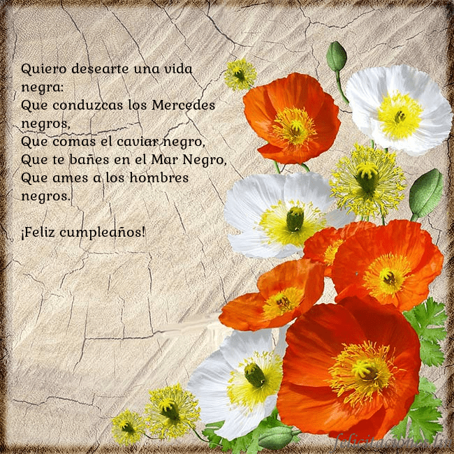 Tarjeta de cumpleaños con amapolas Quiero desearte una vida negra:
Que conduzcas los Tarjeta de cumpleaños con amapolas
