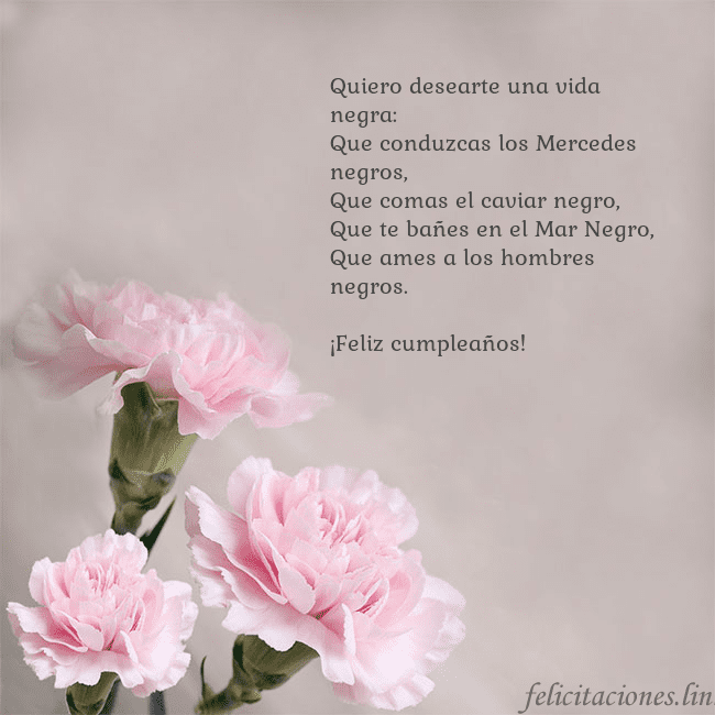 Tarjeta de cumpleaños con claveles rosas Quiero desearte una vida negra:
Que conduzcas los Tarjeta de cumpleaños con claveles rosas