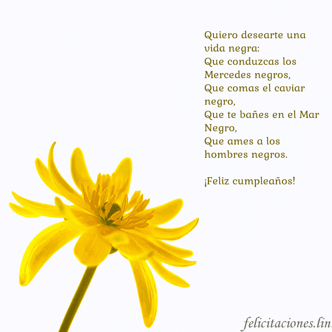 Tarjeta de cumpleaños con flor amarilla Quiero desearte una vida negra:
Que conduzcas los Tarjeta de cumpleaños con flor amarilla