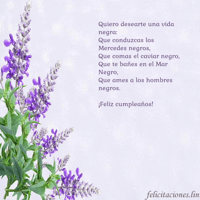 Tarjeta de cumpleaños con altramuces azules Quiero desearte una vida negra:
Que conduzcas los Tarjeta de cumpleaños con altramuces azules