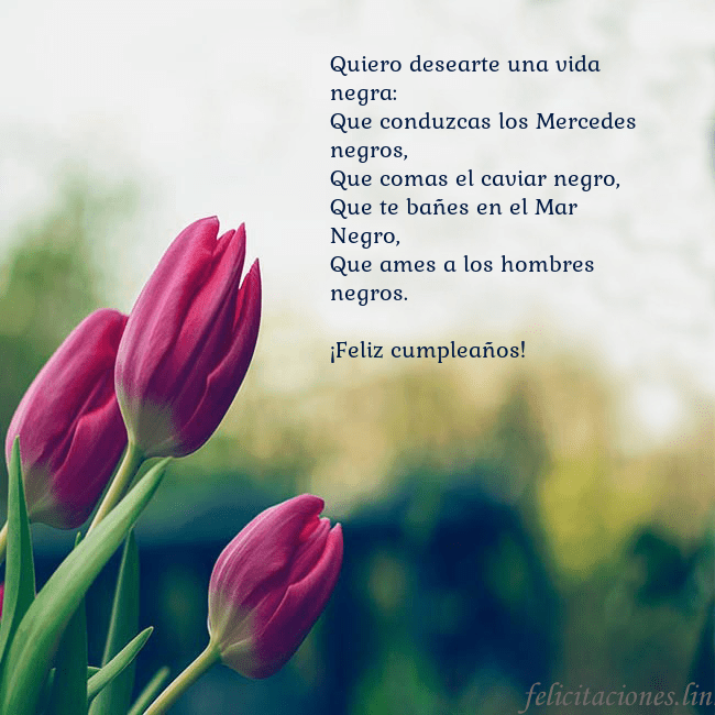 Tarjeta de cumpleaños con tres tulipanes rojos Quiero desearte una vida negra:
Que conduzcas los Tarjeta de cumpleaños con tres tulipanes rojos