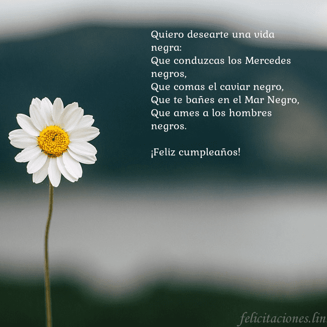 Tarjeta electrónica con margarita Quiero desearte una vida negra:
Que conduzcas los  Tarjeta electrónica con margarita
