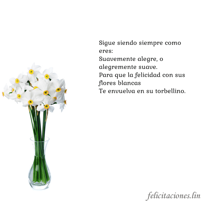 Tarjeta con narcisos Sigue siendo siempre como eres:
Suavemente alegre, Tarjeta con narcisos